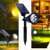 Solar 7W Kazıklı Bahçe Armatürü RGB MZ-301