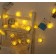 2m 10 Led Pilli 2 Kademeli Limon Led Işık MZ6200-269