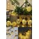 2m 10 Led Pilli 2 Kademeli Ananas Led Işık MZ6200-251