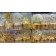 12'li Ramazan Ayaklı Led Işık Gold Renk Gün Işığı MZ6200-234