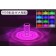 Led Masa Lambası LTH-DMGD004