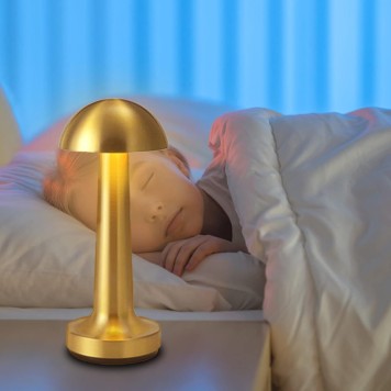 Dekoratif Led Masa Lambası MZ-327-1